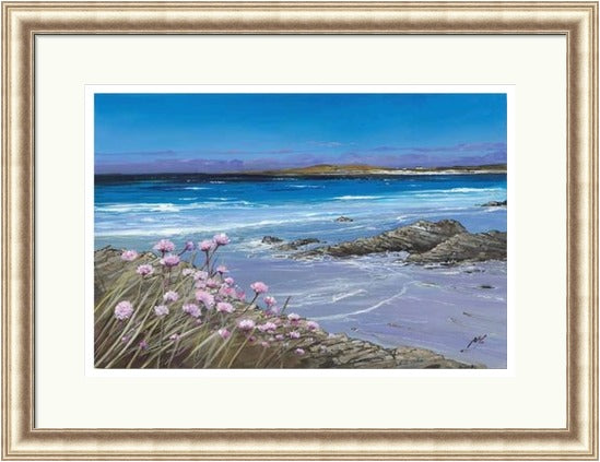 Sea Pinks, Tiree by Allison Young