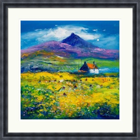 Wee Peat Stacks and Wild Machair Flowers, South Uist by John Lowrie Morrison (JOLOMO) Framed Art