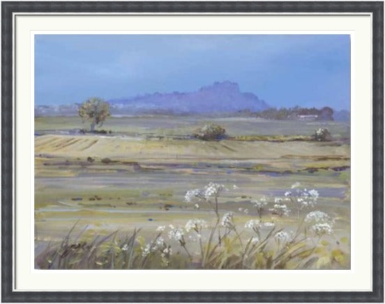 Stirling Castle from Bridge of Allan by Allison Young framed wall art print showing soft green fields, white wildflowers and the distant castle