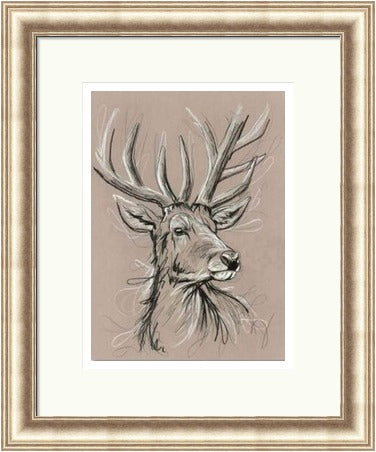 White Hart Stag Art Print by Tori Ratcliffe