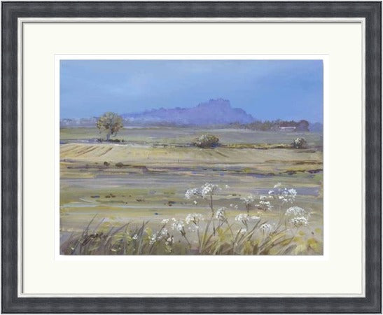 Stirling Castle from Bridge of Allan by Allison Young framed wall art print showing soft green fields, white wildflowers and the distant castle