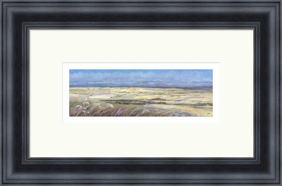 Harvest Fields near Stirling by A Young