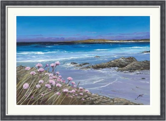 Sea Pinks, Tiree by Allison Young