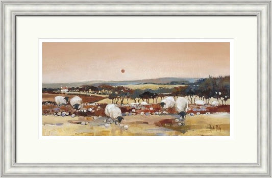Sheep at Dusk (Limited Edition) by Kate Philp