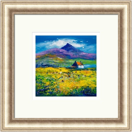 Wee Peat Stacks and Wild Machair Flowers, South Uist by John Lowrie Morrison (JOLOMO) Framed Art