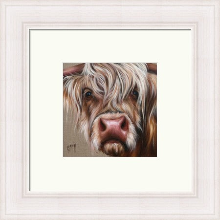 Douglas Highland Cow Art Print by Georgina McMaster