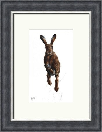 Highland Spring Hare Art Printby Georgina McMaster