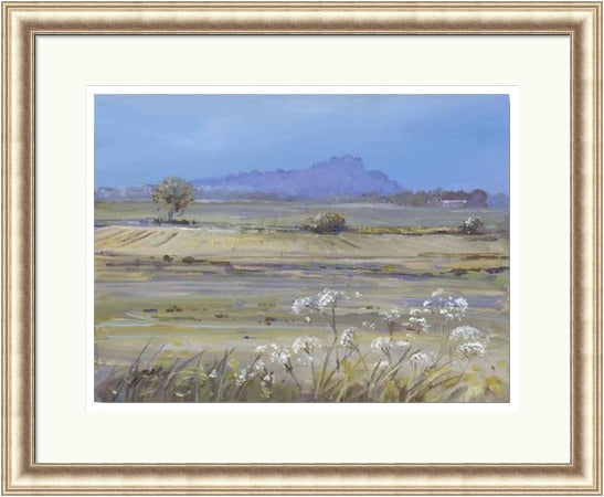 Stirling Castle from Bridge of Allan by Allison Young framed wall art print showing soft green fields, white wildflowers and the distant castle