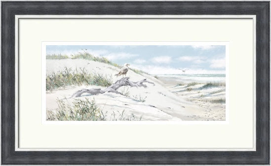 Driftwood by Richard Macneil