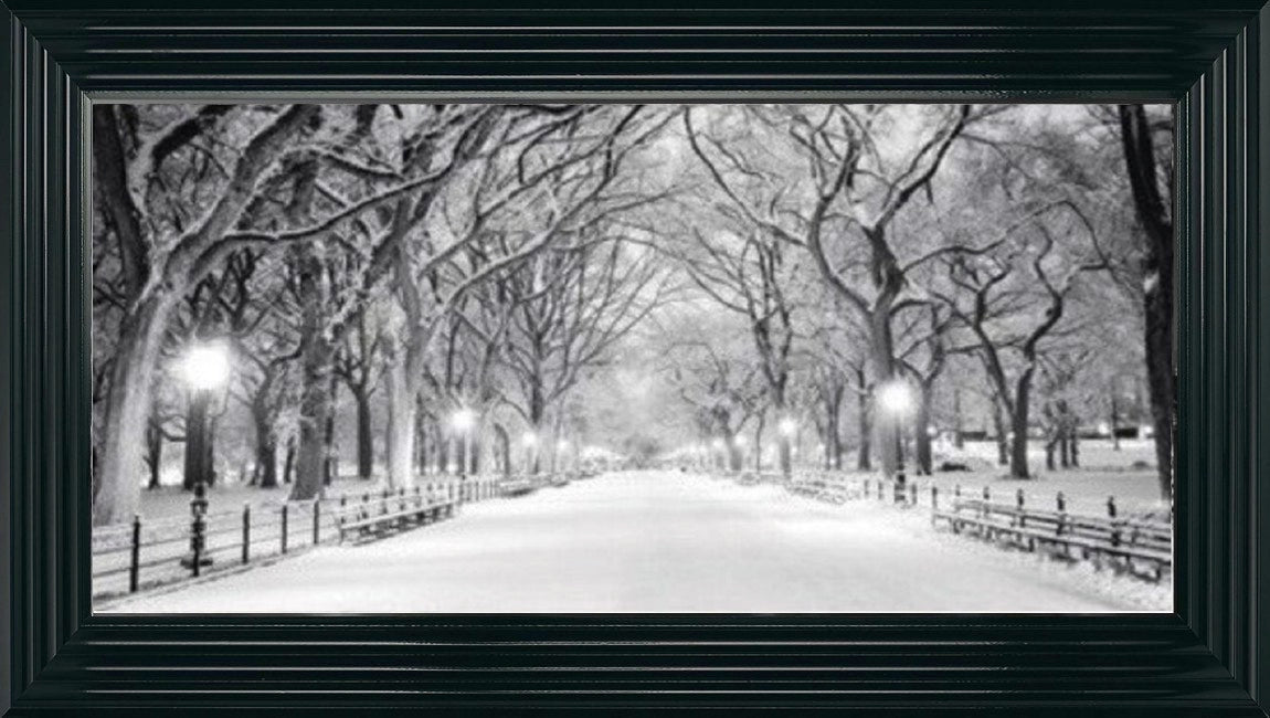 Winter Walk