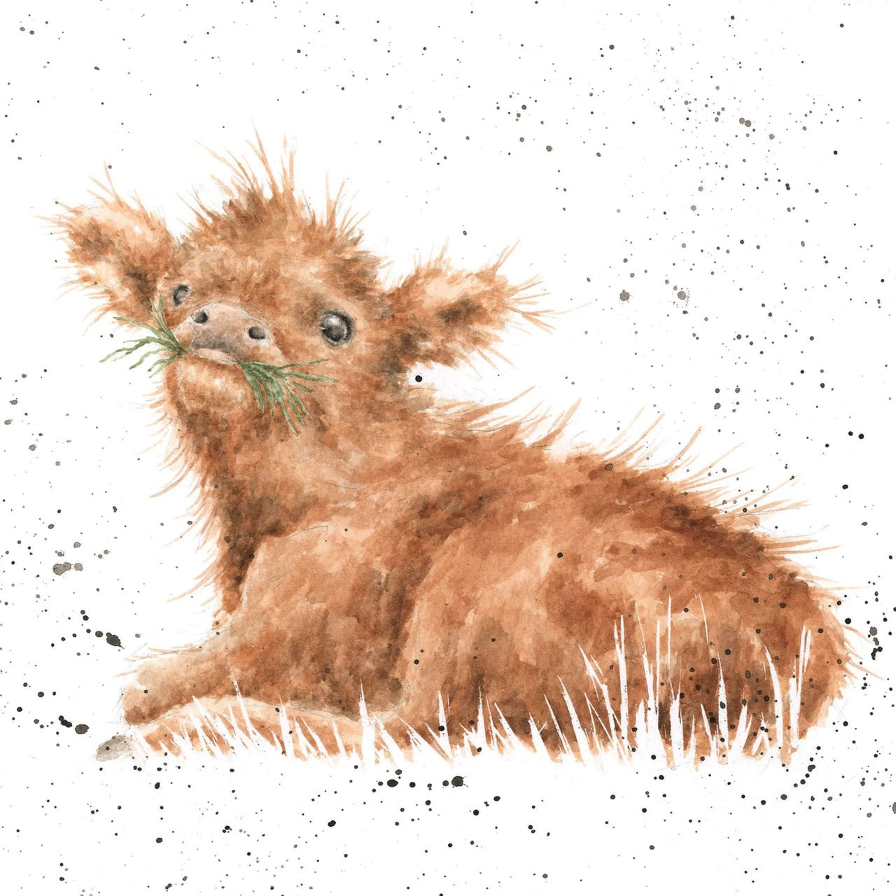 Wee Hamish   -  Wrendale Designs by Hannah Dale