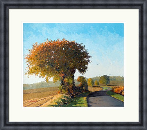 Last One - Autumn Sunlight (Limited Edition) by Frank Colclough