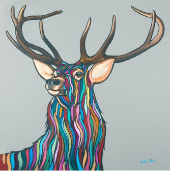 Highland Stag by Callum Nicol