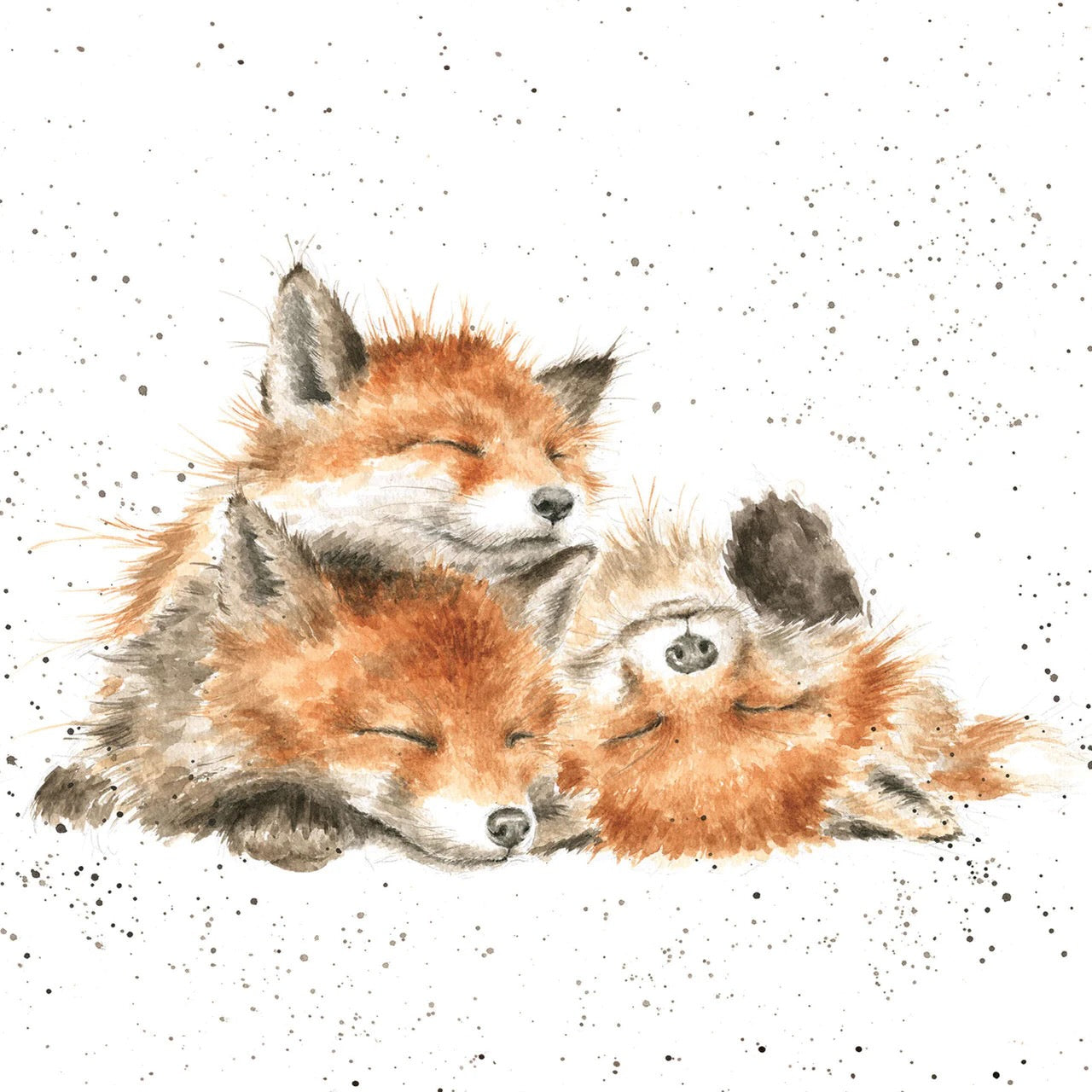 Afternoon Nap -  Wrendale Designs by Hannah Dale