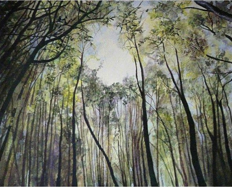 The Canopy (Limited Edition) by Sandra Moffat