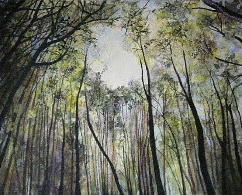 The Canopy by Sandra Moffat framed signed limited edition framed wall art print - alternate product image 2