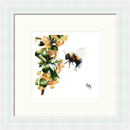 Arabesque Bee on Blossom (Limited Edition) by Georgina McMaster