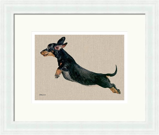 Freddy Dachshund Framed Art Print by Jane Bannon