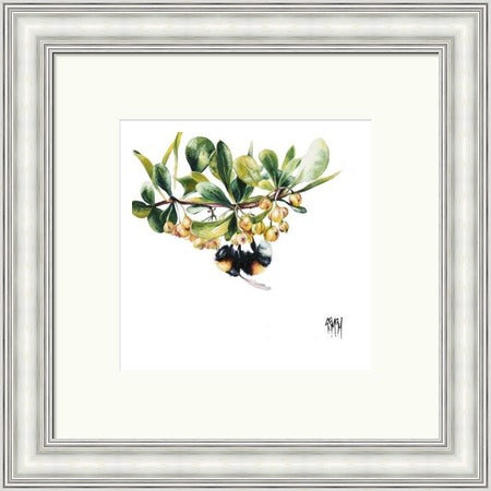 High Bar Bee on Blossom (Limited Edition) by Georgina McMaster