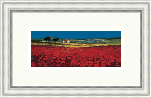 Red Fields, Tuscany by John Horsewell