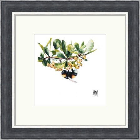 High Bar Bee on Blossom (Limited Edition) by Georgina McMaster