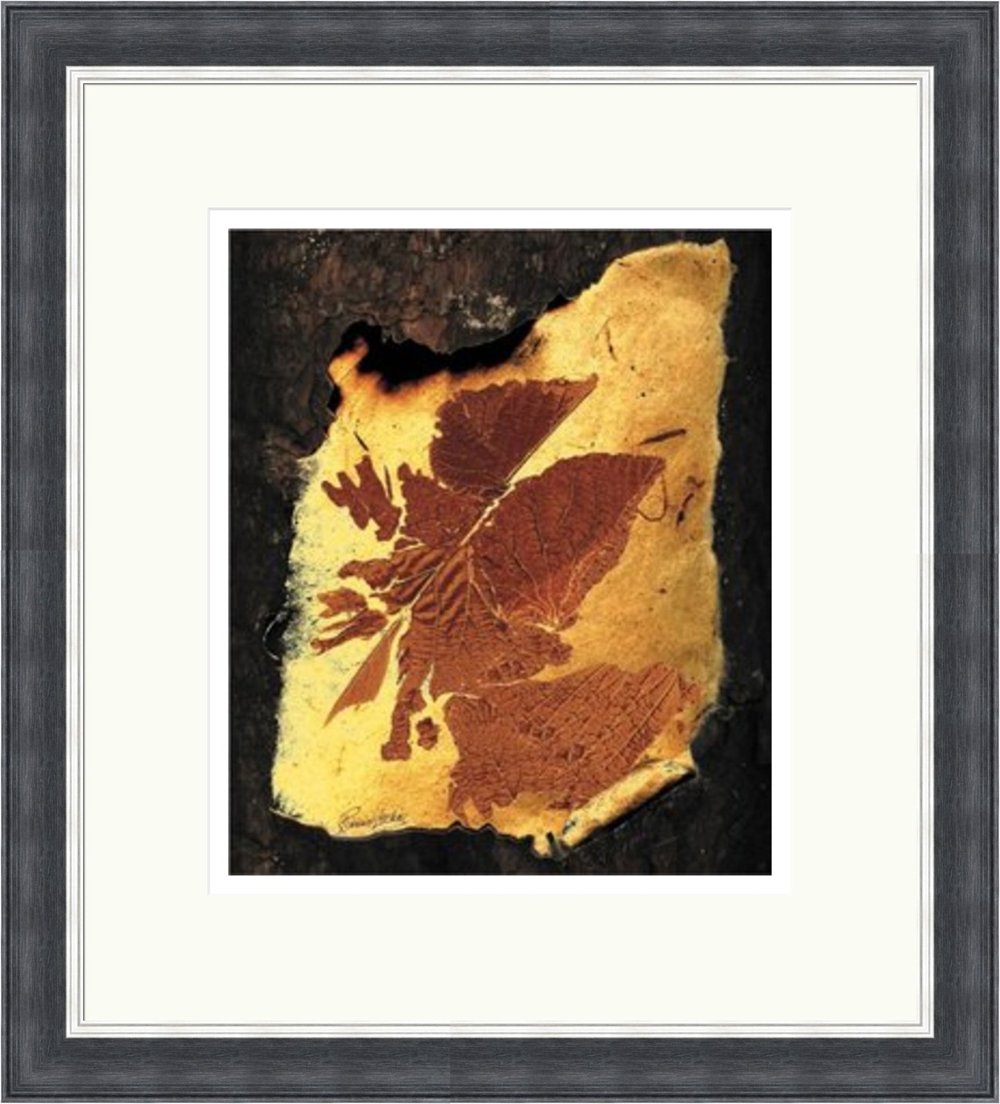 Amber Leaf by Ronnie Leckie