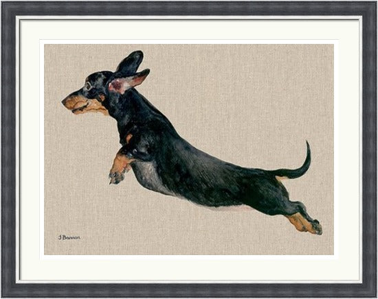 Freddy Dachshund Framed Art Print by Jane Bannon