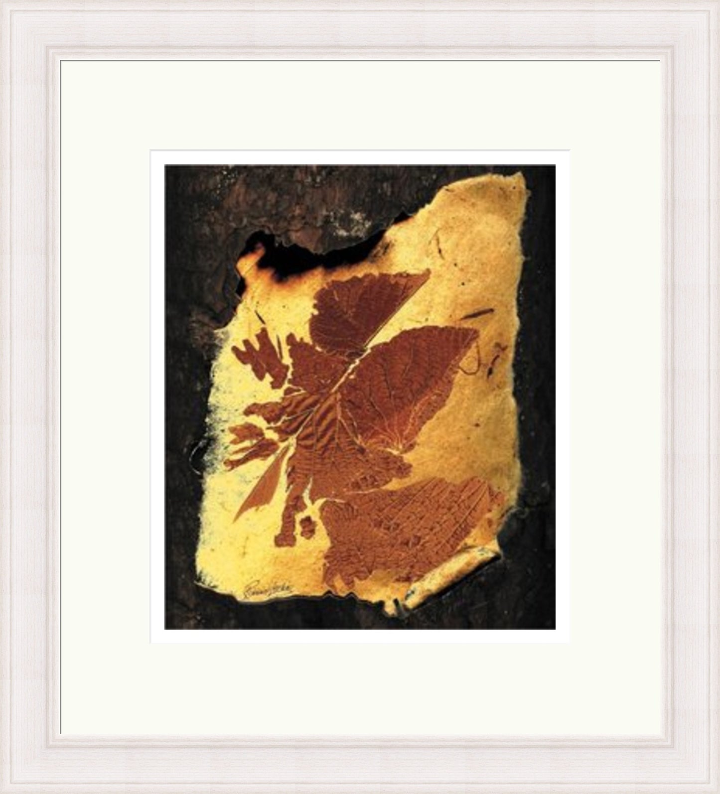 Amber Leaf by Ronnie Leckie