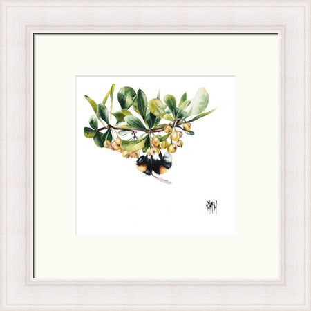 High Bar Bee on Blossom (Limited Edition) by Georgina McMaster