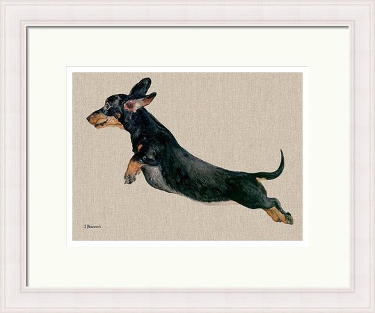 Freddy Dachshund Framed Art Print by Jane Bannon