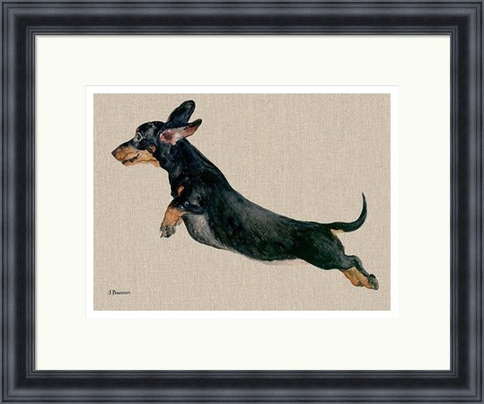 Freddy Dachshund Framed Art Print by Jane Bannon