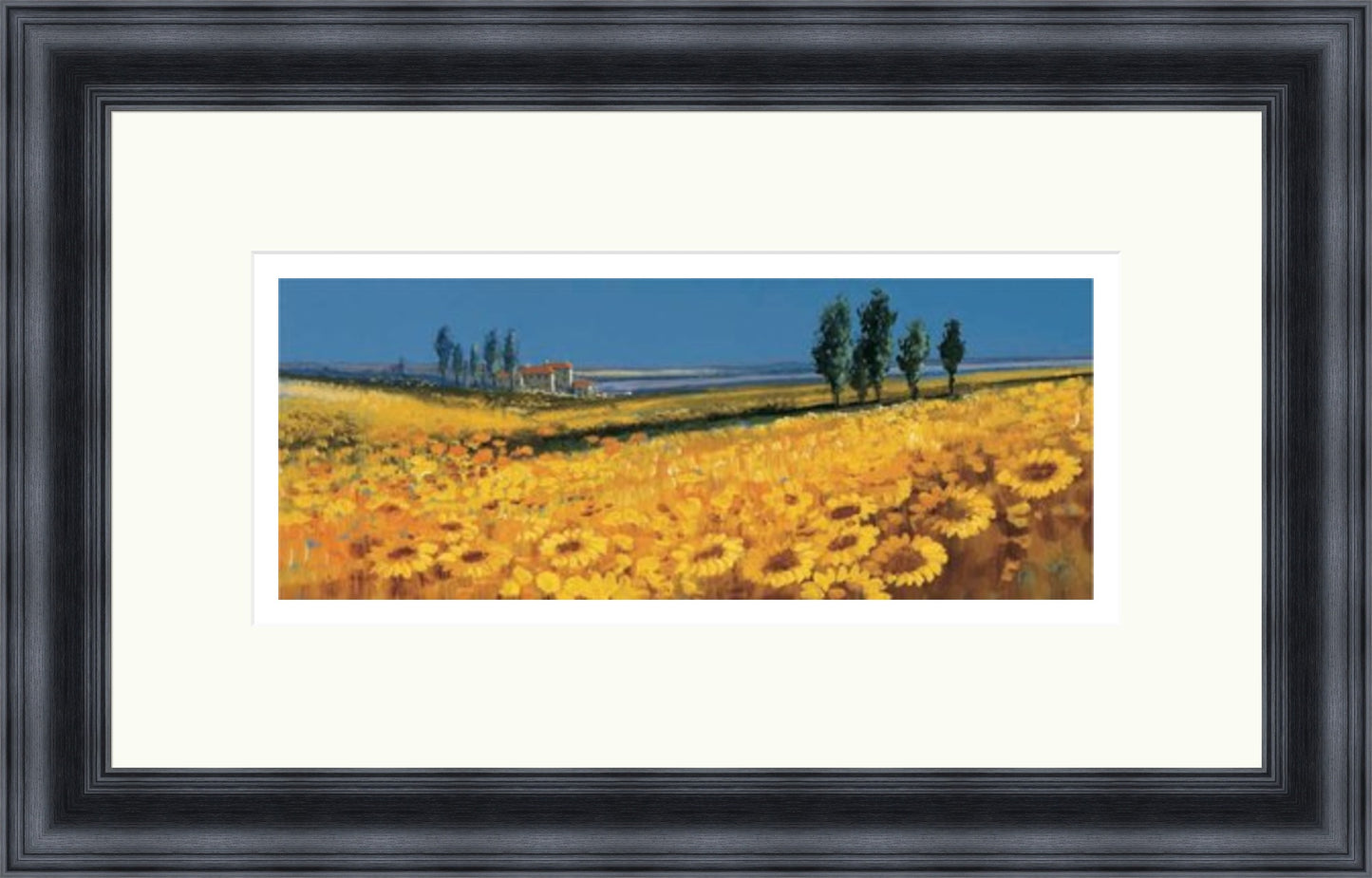 Yellow Fields, Tuscany by John Horsewell