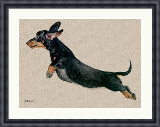 Freddy Dachshund Framed Art Print by Jane Bannon