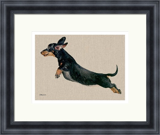 Freddy Dachshund Framed Art Print by Jane Bannon