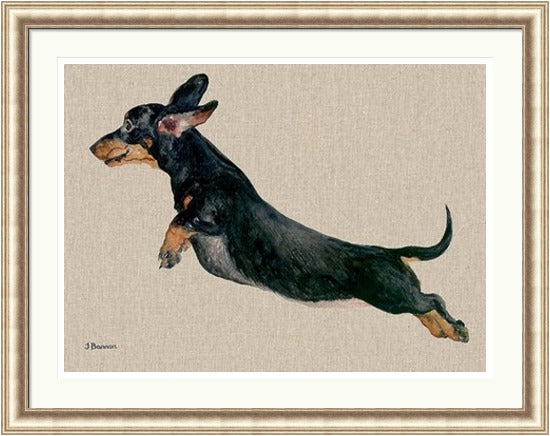 Freddy Dachshund Framed Art Print by Jane Bannon