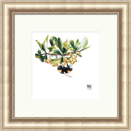 High Bar Bee on Blossom (Limited Edition) by Georgina McMaster