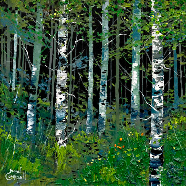 Silver Birches in Summer by Daniel Campbell framed wall art print showing silver birch trees surrounded by fresh summer greenery