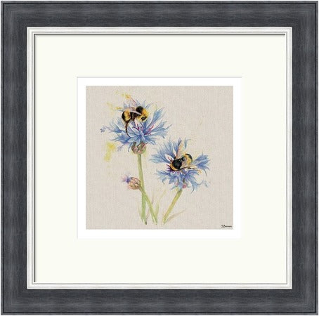 Bees on Cornflowers by Jane Bannon