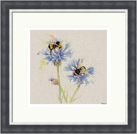 Bees on Cornflowers by Jane Bannon