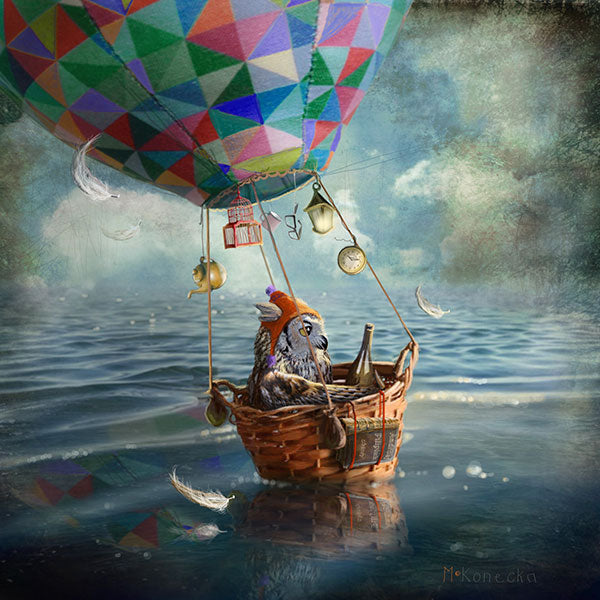 The Balloonist by Matylda Konecka