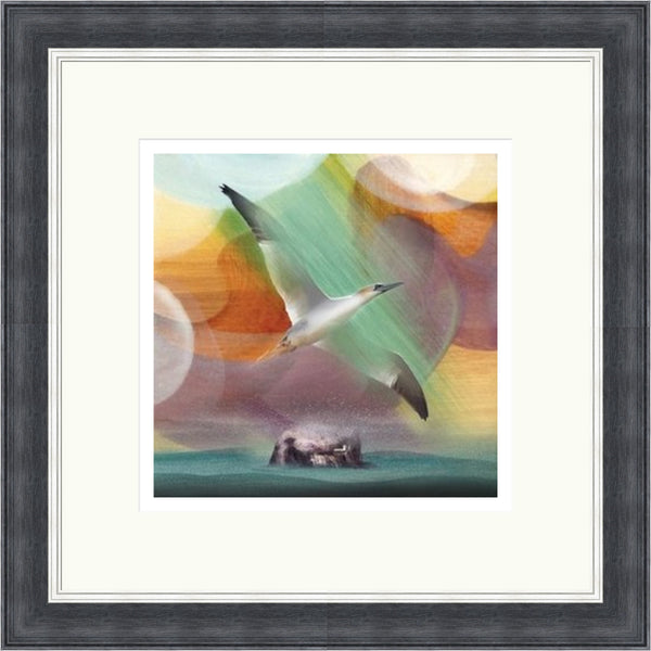 Canty Bay, Bird & Bass by Esther Cohen