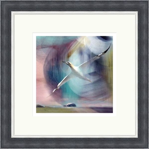 Peffer Sands, Bird & Bass Rock by Esther Cohen