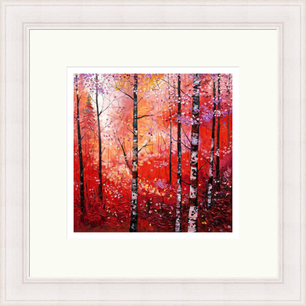 Silver Birches in Autumn by Daniel Campbell