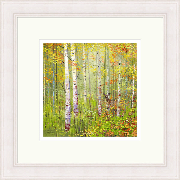 Silver Birches in Spring by Daniel Campbell