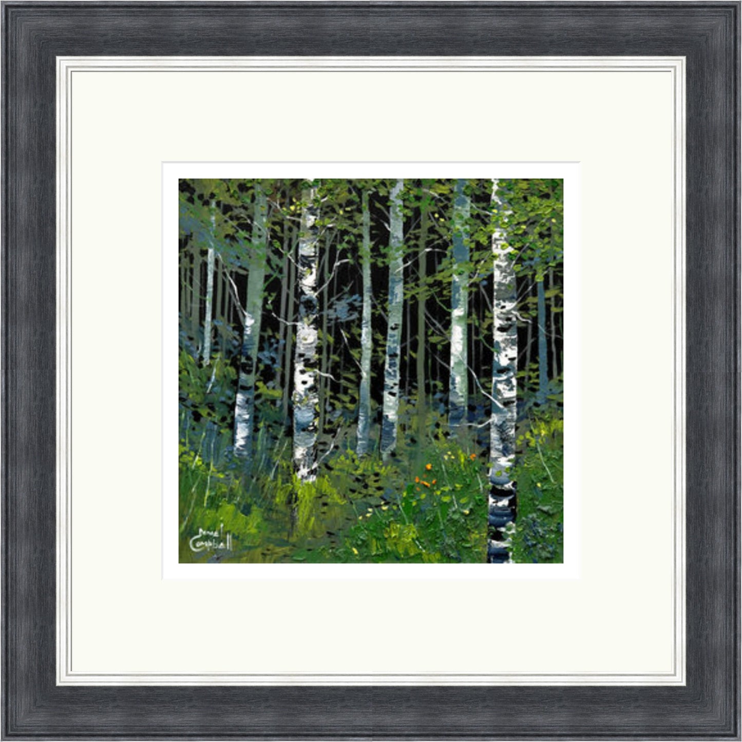 Silver Birches in Summer by Daniel Campbell