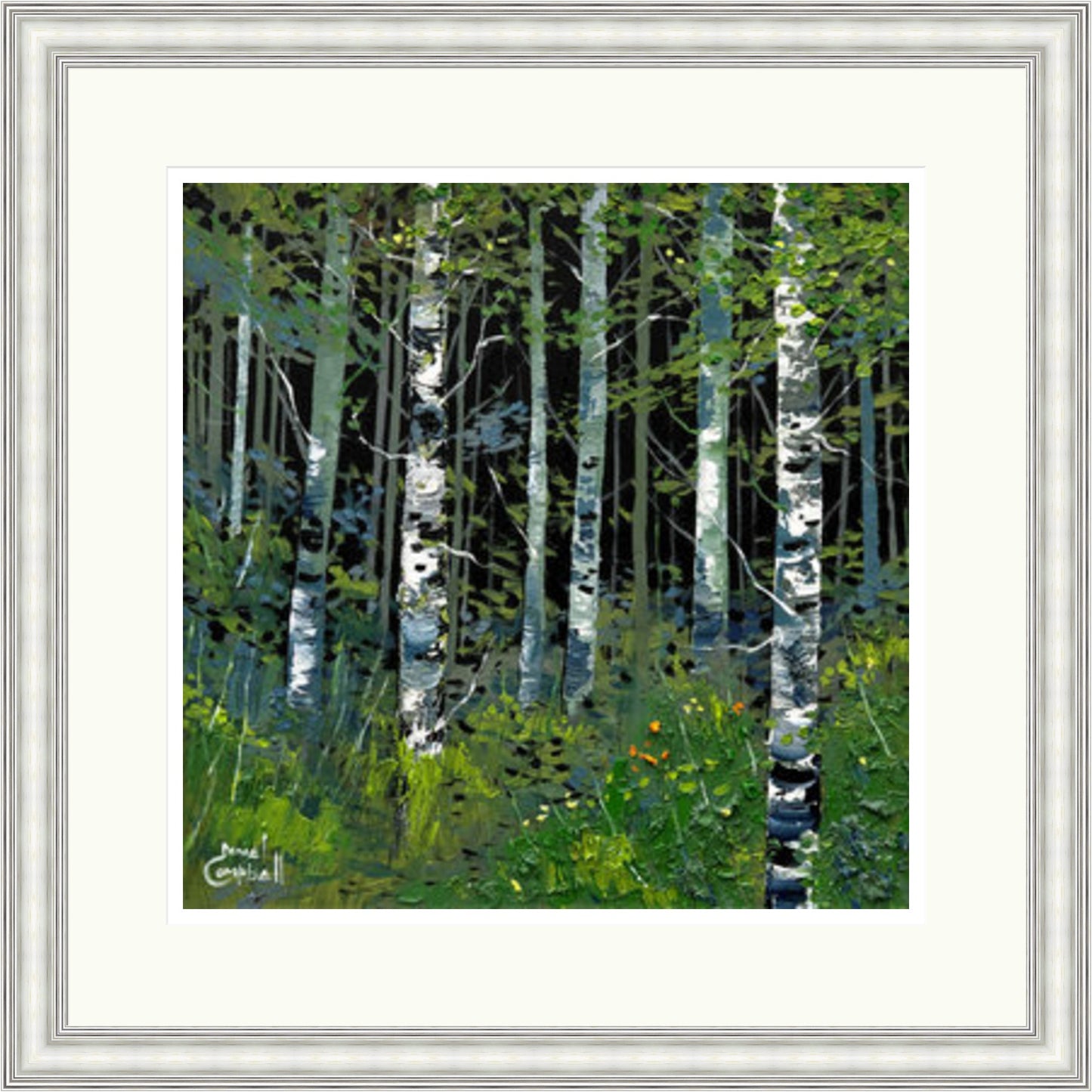 Silver Birches in Summer by Daniel Campbell