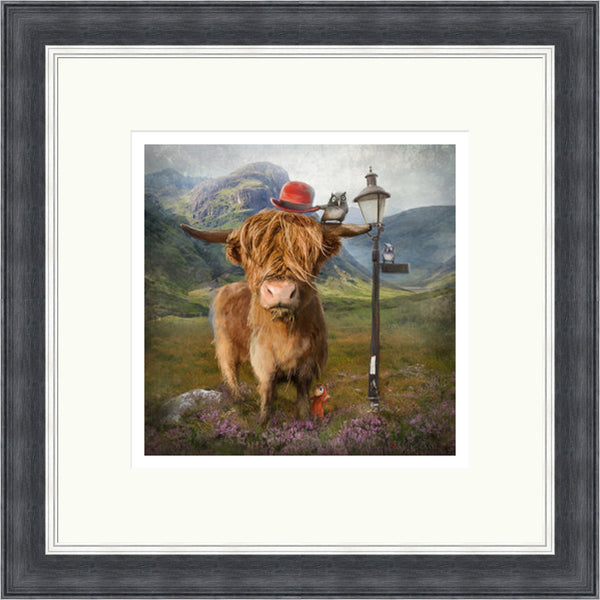 Highland Cow by Matylda Konecka