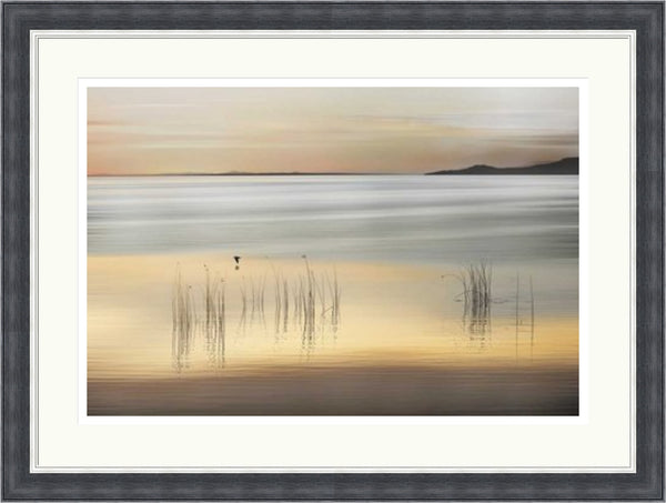 Golden by Marvin Pelkey