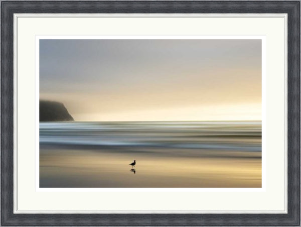 Morning Visit by Marvin Pelkey