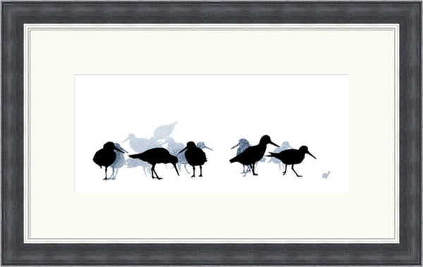 Oystercatchers by Sandra Vick